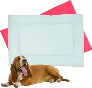Downtown Pet Supply Dog Crate Pad, 29" x 20" - Waterproof, Ripstop Nylon Dog Crate Mat Chew Proof and Machine Washable - Light Blue and Pink - M