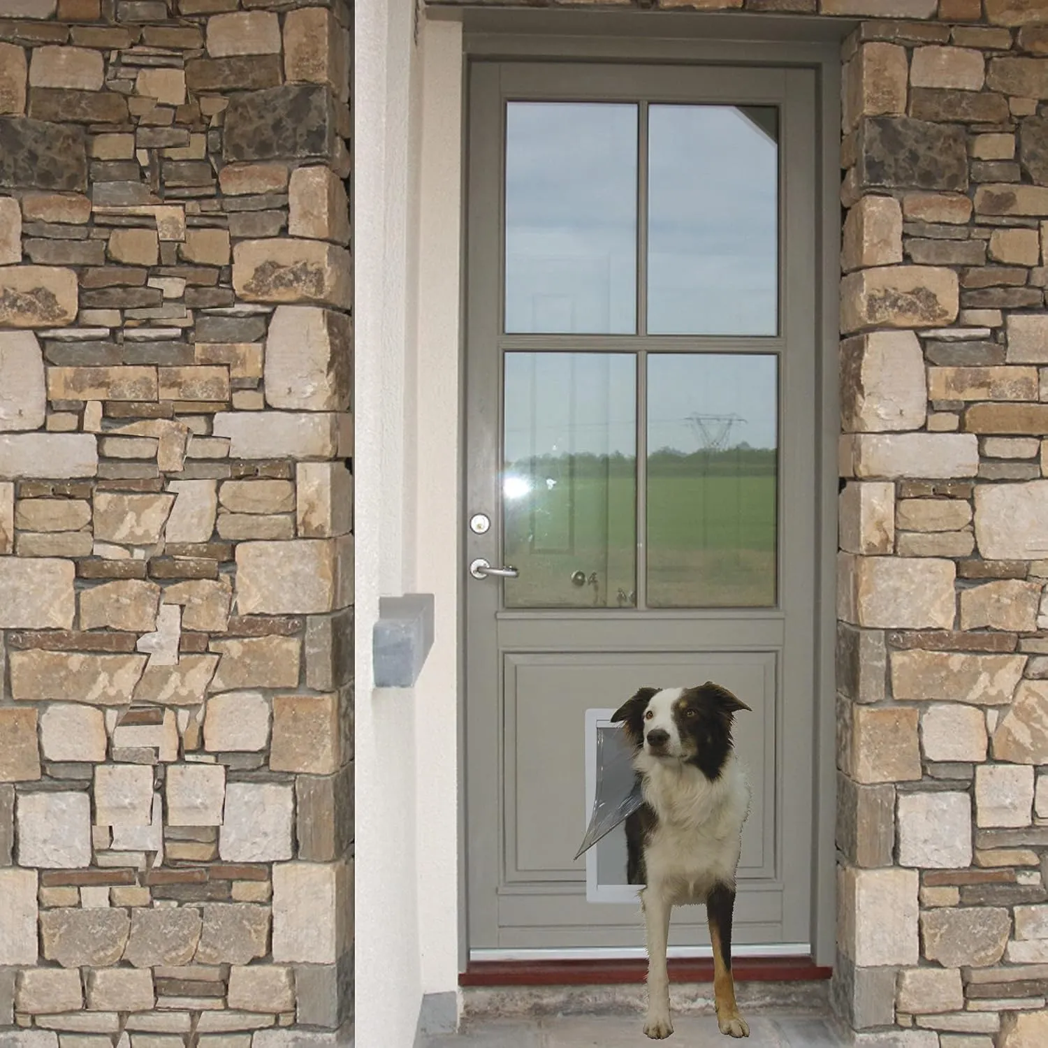 Ideal Pet Products Designer Series Plastic Pet Door with Telescoping Frame, Extra Large, 10.5" x 15" Flap Size