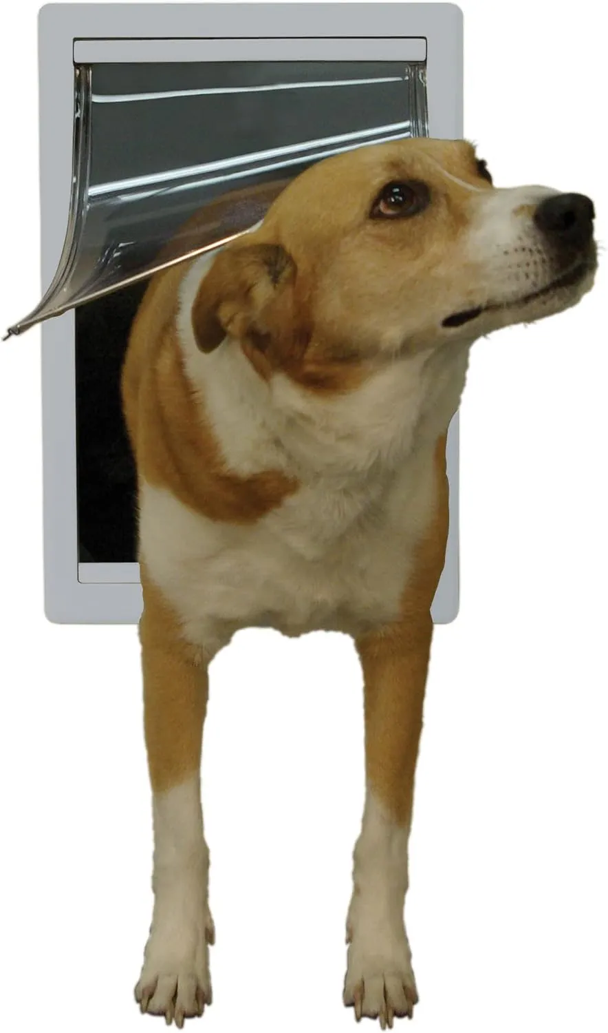 Ideal Pet Products Designer Series Plastic Pet Door with Telescoping Frame, Medium, 7" x 11.25" Flap Size