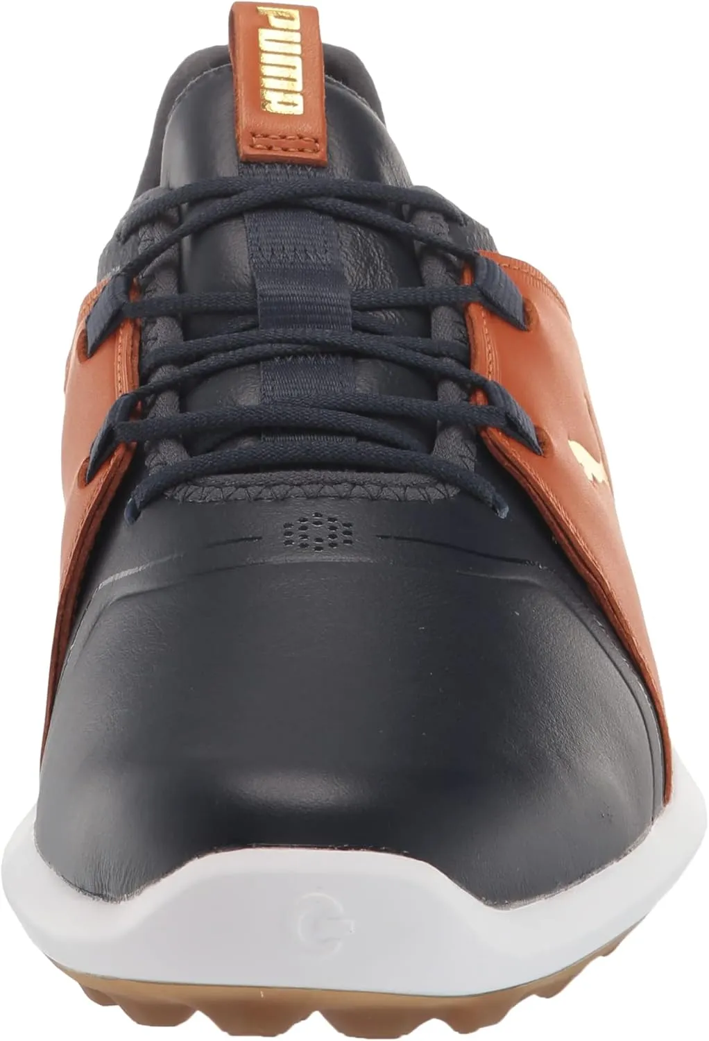 PUMA Men's Ignite Fasten8 Crafted Golf Shoe