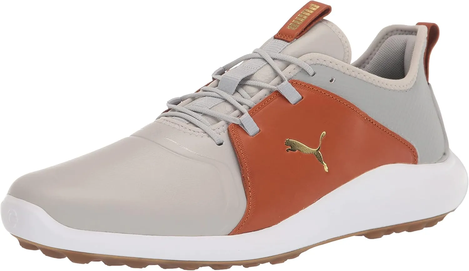 PUMA Men's Ignite Fasten8 Crafted Golf Shoe