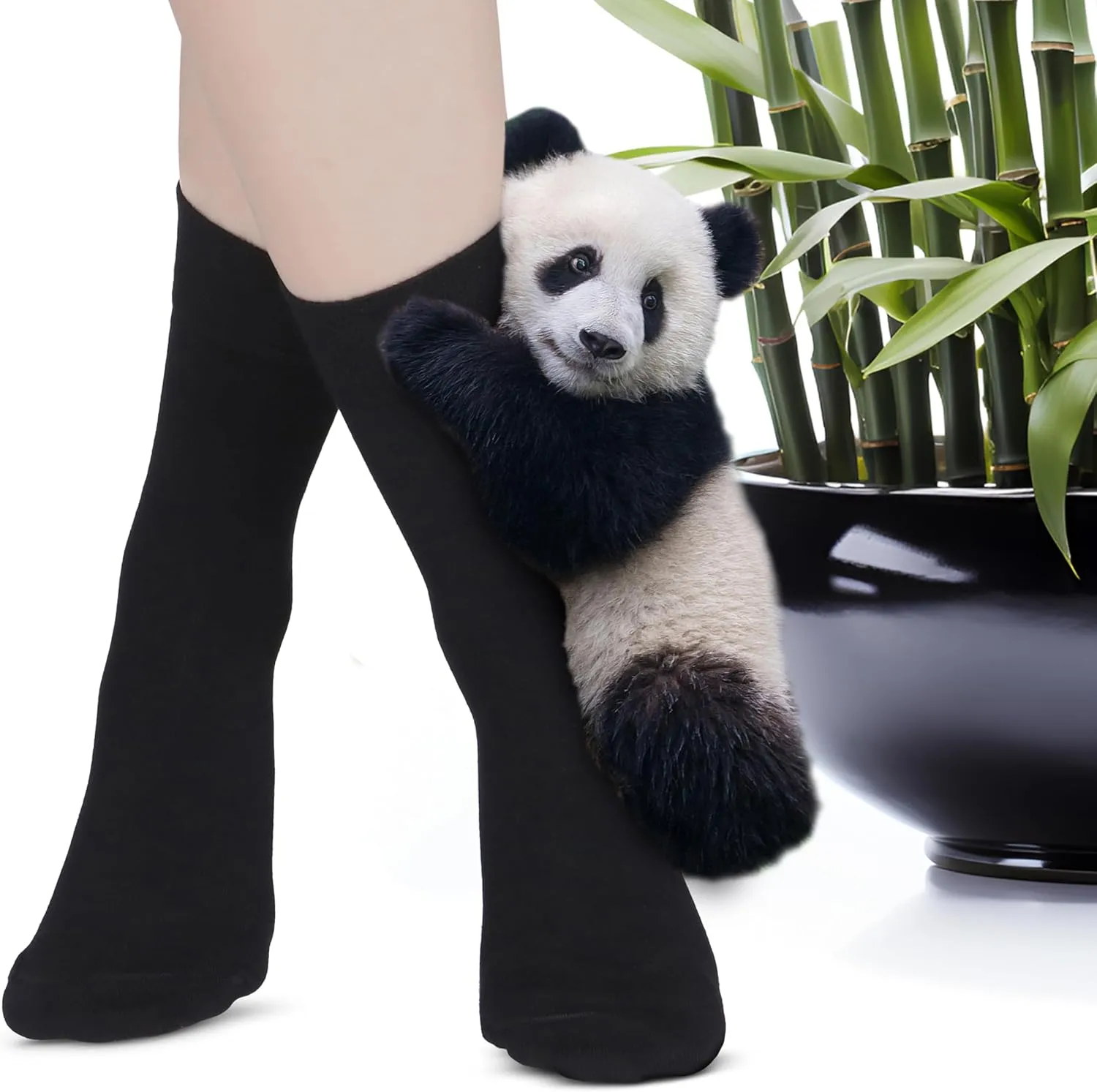 Women's Thin Rayon Seamless Toe - Dress Socks Women with Gift Box